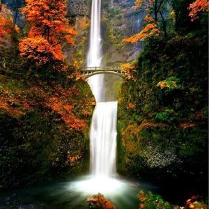 Meet your Posher, Kristie